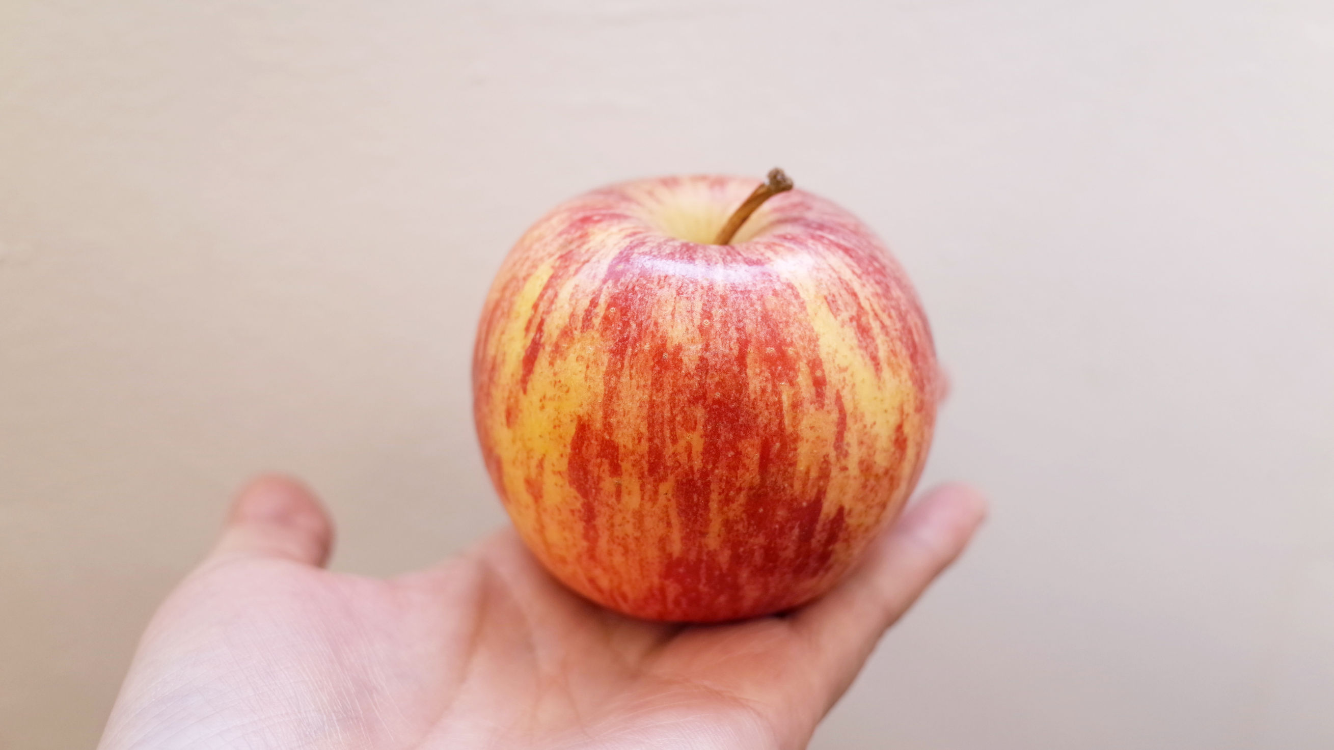 Los trabajos de APPLE 2022